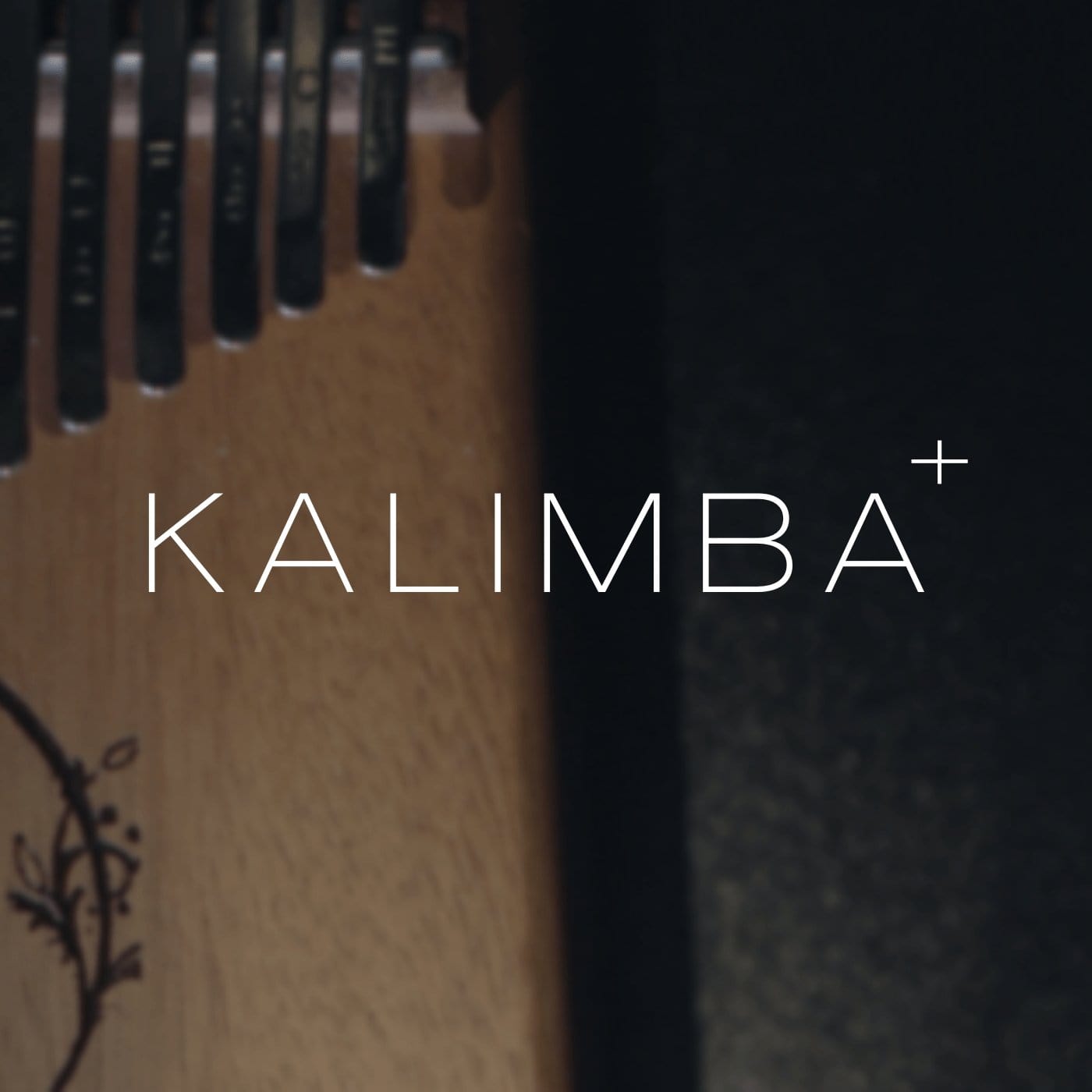 Patent Sounds - Kalimba+ (BUNDLE) - DixonBeats